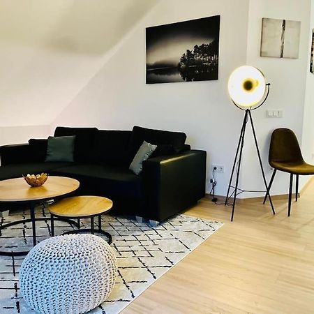 Ein Blick Uber Das Elbtal Dresda Esterno foto